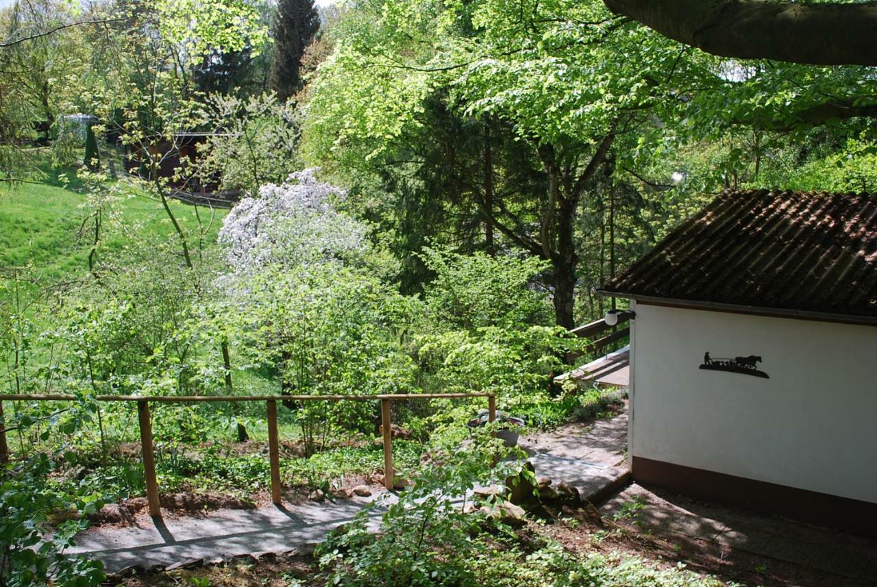 Ferienhaus Waldeck Ober Werbe Villa Oberwerba Exterior photo